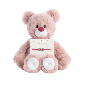 Soft pink teddy bear holding a card that reads 'Big Sister' with a pink bracelet attached to its chest.